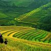 18 day tour Vietnam