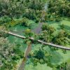 Tra Su Forest – Bamboo Bridge