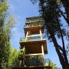 Tra Su Forest – Sightseeing Tower